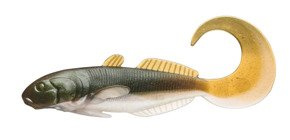 GUMY CORMORAN CURLY GOBY - PEARL AYU