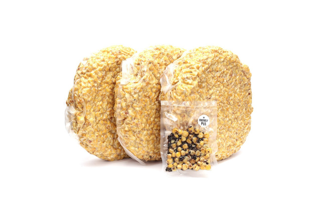 KUKURYDZA ZIARNA CARP OLD SCHOOL ANANAS 14kg