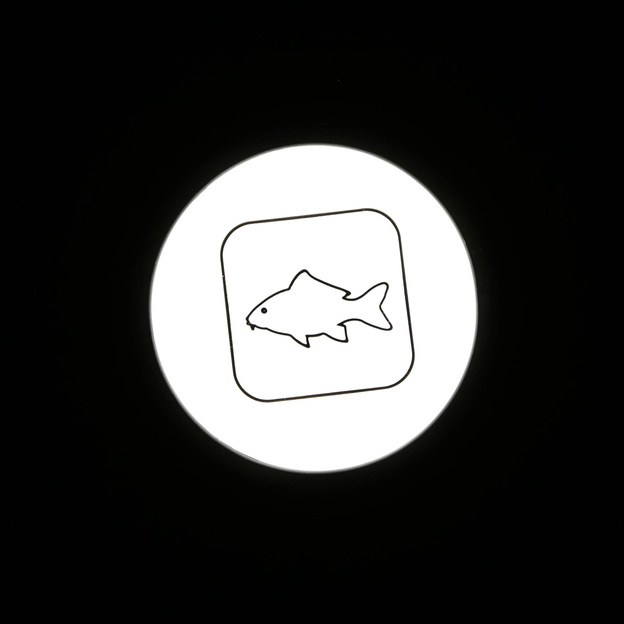 ZESTAW SYGNALIZATORÓW PROLOGIC C-SERIES 2+1