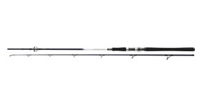 WĘDKA DAIWA GRANDWAVE COD 240/150-300g