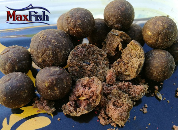 KULKI ZANĘTOWE INVADER KALIGULA 20mm/800g