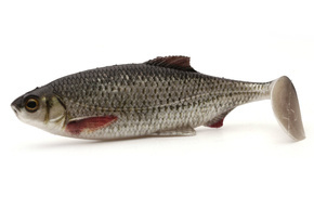 P115-551 - WESTIN GUMA RICKY THE ROACH - REAL ROACH 1szt