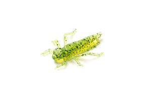 GUMA FISHUP DRAGONFLY 026-1"/30mm/10szt