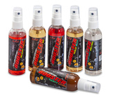 ATRAKTOR UNI CAT BOOSTER 100ml - SCARY LEECH