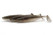 GUMA SAVAGE GEAR FAT-TAIL MINNOW - HOLO BAITFISH