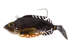 GUMA WESTIN RED ED - LIVELY SCORP