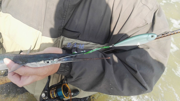 WŁÓCZKA NA BELONĘ AQUANTIC - 10szt/YELLOW