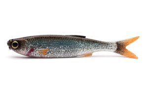 GUMA SAVAGE GEAR CRAFT DYING MINNOW 1szt - ROACH