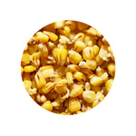 ZIARNA ZANĘTOWE GENLOG - KUKURYDZA WANILIA