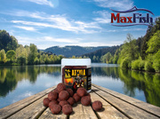 KULKI HACZYKOWE INVADER ATTYLA 250ml