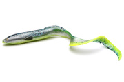 GUMA SAVAGE GEAR 3D REAL EEL - GREEN YELLOW GLITTER