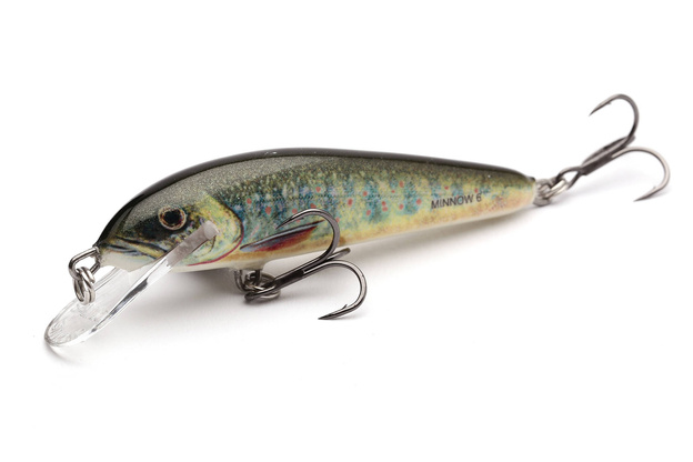 WOBLER SALMO MINNOW SINKING 6cm - LAKE CHARR