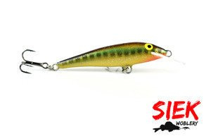 WOBLER SIEK UKLEJA IGŁA 6cm - 34