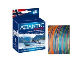 40120 - MAX PLECIONKA ATLANTIC NORWAY 200m