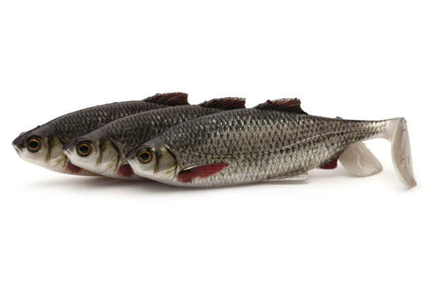 GUMA WESTIN RICKY THE ROACH - REAL ROACH 1szt