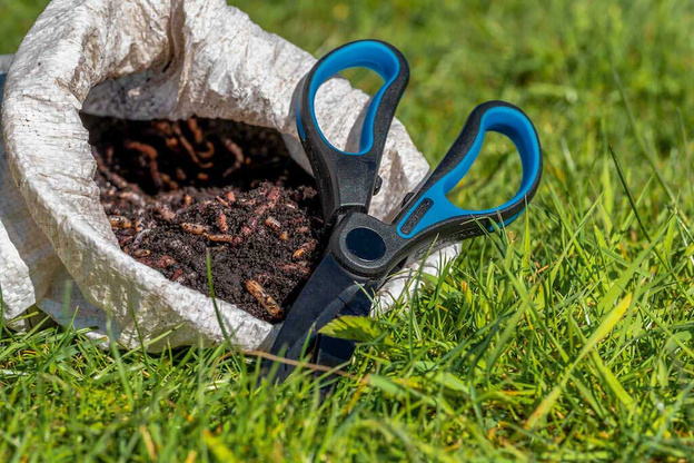 NOŻYCZKI DO CIĘCIA ROBAKÓW PRESTON WORM SCISSORS