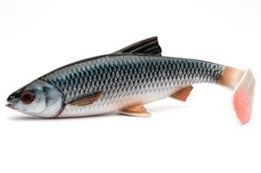 637 - SAVAGE GEAR GUMA 4D RIVER ROACH - ROACH