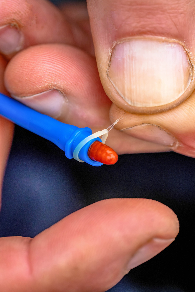 WYPYCHACZ DO HACZYKÓW Z BAIT BANDEREM PRESTON