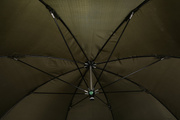 PARASOL- BROLLY SAXCARP