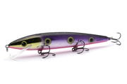 UNIKATOWY WOBLER SALMO WHACKY FLOATING 12cm/14g - SILVER BEAST