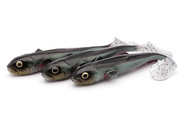 636 - SAVAGE GEAR GUMA 3D GOBY SHAD 1szt - GREEN/SILVER GOBY UV