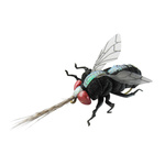 ZESTAW IMITACJI OWADÓW JENZI XL - 4szt