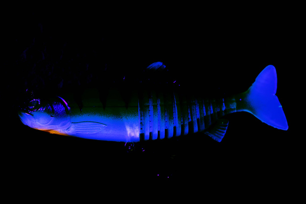 GUMA FOX RAGE JOINTED REPLICANT - UV STICKLEBACK