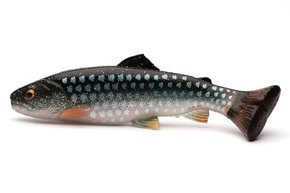 718 - SAVAGE GEAR GUMA 3D CRAFT TROUT PULSETAIL - ROACH