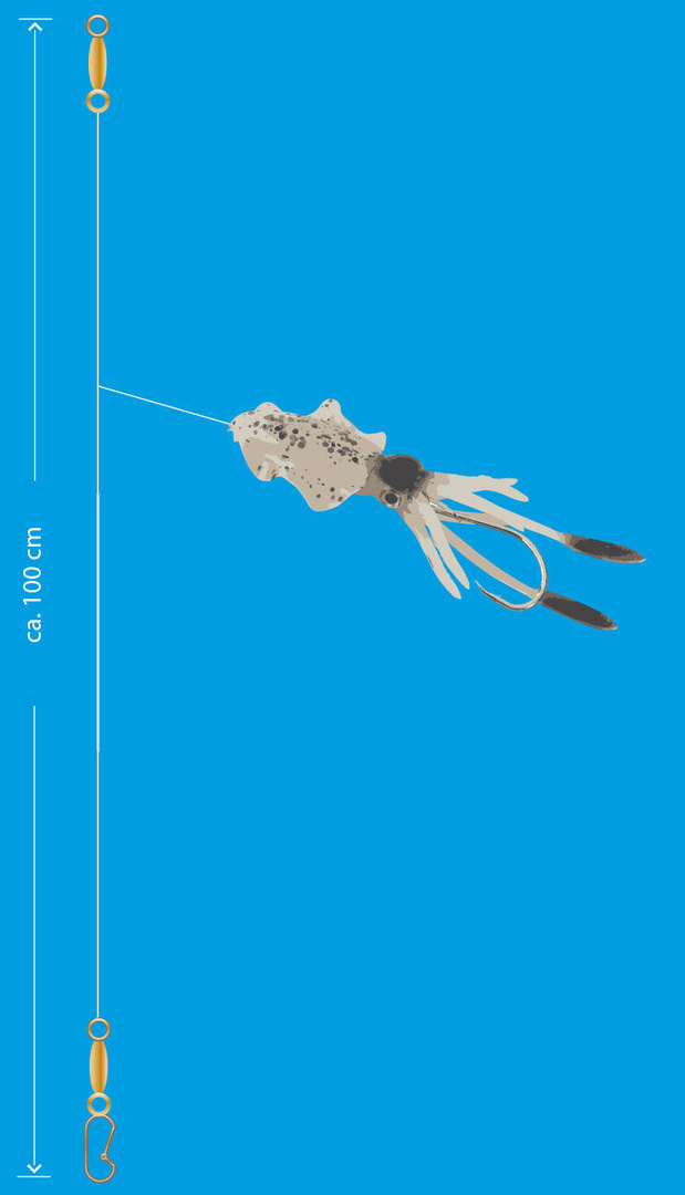 MORSKA PRZYWIESZKA AQUANTIC OCTOPUS LEADER RIG 8/0