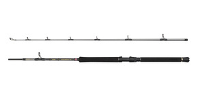 WĘDKA PENN REGIMENT IV BOAT 210/20-30lb