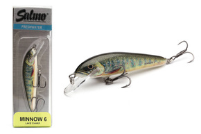WOBLER SALMO MINNOW FLOATING 6cm - LAKE CHARR