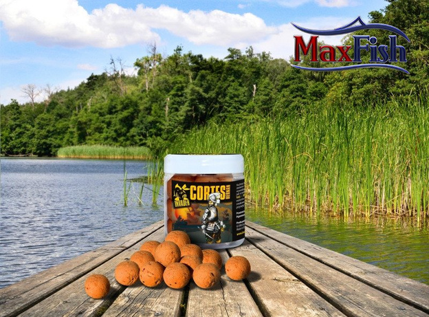 KULKI HACZYKOWE INVADER CORTES 250ml