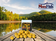 KULKI HACZYKOWE INVADER MONTEZUMA 250ml