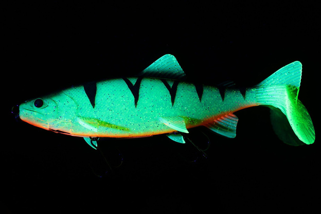 NRE - FOX RAGE GUMA SHALLOW TROUT REPLICANT - PERCH UV