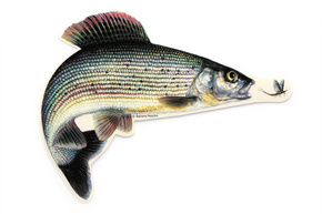 NAKLEJKA WĘDKARSKA JENZI - LIPIEŃ XL-17cm