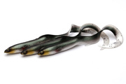 GUMA SAVAGE GEAR 3D REAL EEL - GREEN SILVER
