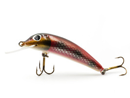 WOBLER GĘBALA TROUT 5.0 - 5 cm-12