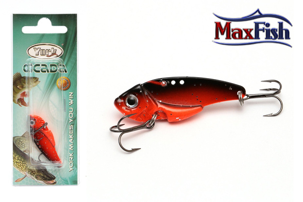 25 - YORK CYKADA /BLACK-RED