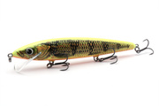 UNIKATOWY WOBLER SALMO WHACKY FLOATING 12cm/14g - GOLD FLUO PERCH
