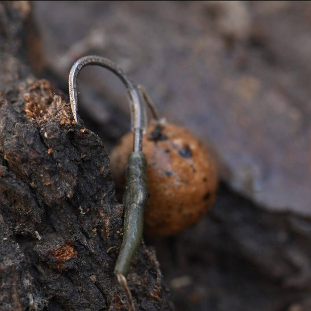 HACZYKI BKK WIDE GAPE