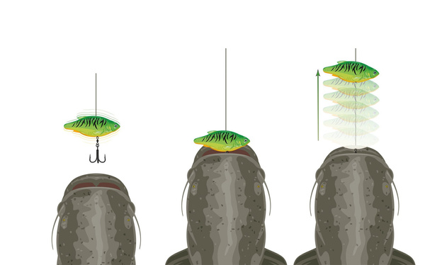 PRZYNĘTA MADCAT INLINE RATTLERS - CANDY 90g