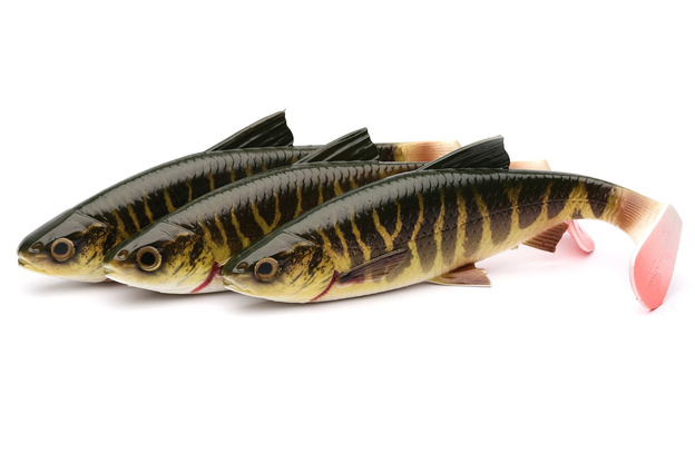 6371 - SAVAGE GEAR GUMA 4D RIVER ROACH - PIKE