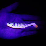 7191 - SAVAGE GEAR GUMA CANNIBAL PADDLETAIL - OLIVE SMOLT UV