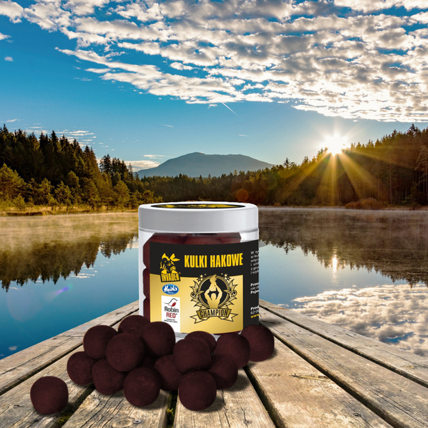 KULKI HACZYKOWE INVADER CHAMPION BELACHAN 250ml