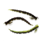 GUMA WESTIN BLOOD TEEZ - BLACK/CHARTREUSE 1szt