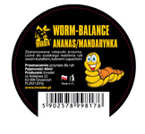 KULKI WORM BALANCE INVADER - ANANAS/MANDARYNKA 60ml
