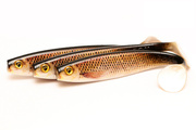 GUMA FOX RAGE PRO SHAD 2 - SN CHUB