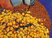 ZIARNA ZANĘTOWE GENLOG - ZIARNO MIX KUKURYDZA-KONOPIA