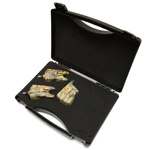 ZESTAW SYGNALIZATORÓW Z CENTRALKĄ NECO C102 2+1