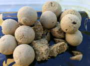 KULKI ZANĘTOWE INVADER DRACULA 14mm/1kg